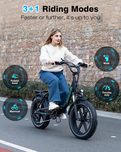 250W 48V 15.6Ah 20*4'' Tire Electric Bike 7 Speeds Folding E-bike